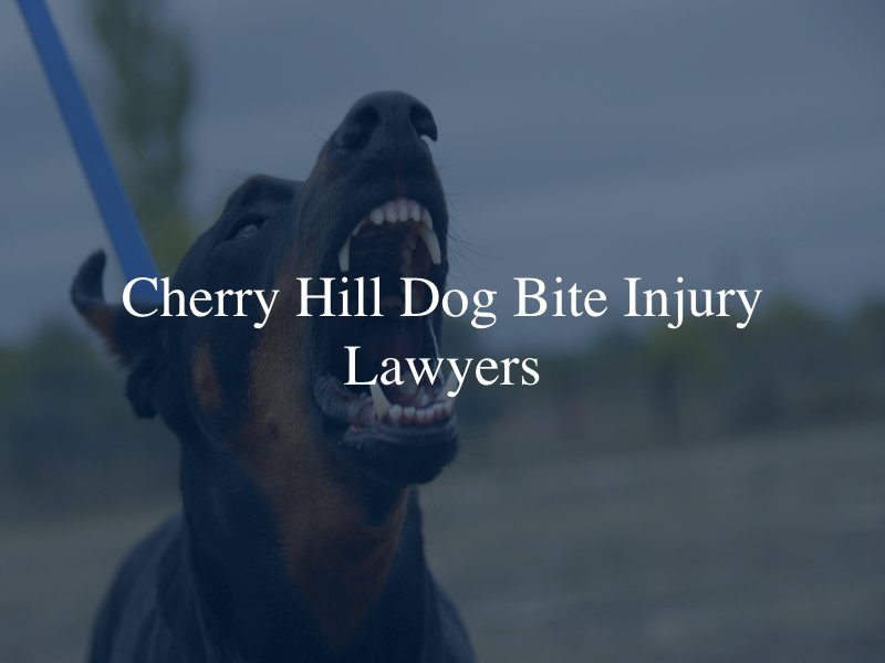 Cherry Hill dog bite injury lawyer 