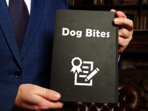 A lawyer in a suit holds a black folder labeled "Dog Bites," symbolizing legal representation for dog bite injury cases.